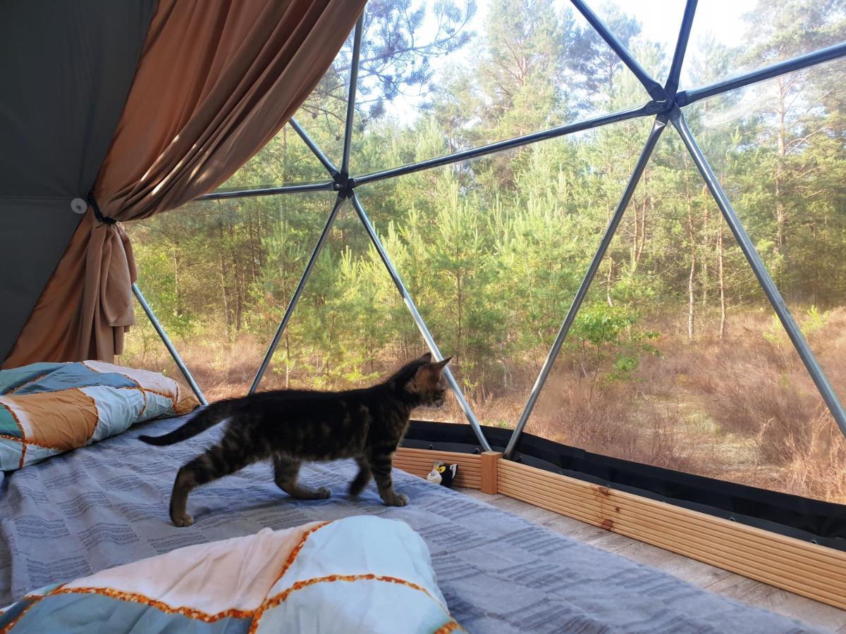 Podniebny Glamping Borsk Exterior foto